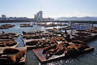 Pier 39