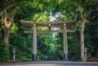 Tempio di Meiji Jingu.