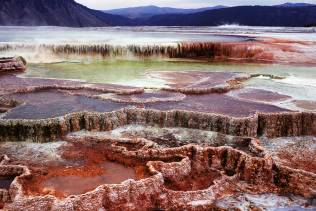 Mammoth Hot Springs