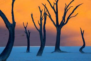 Tour Organizzati in Namibia