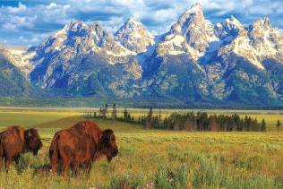 Viaggi organizzati negli Stati Uniti: Yellowstone e Grandi Parchi.
