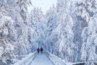 Viaggio organizzato in Lapponia Finlandese