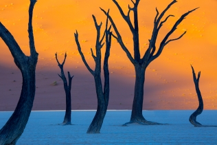 Diario di viaggio in Namibia