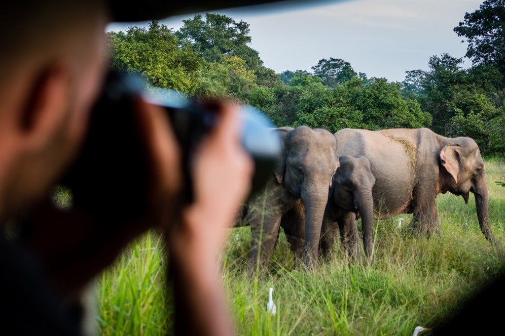 Viaggio di gruppo organizzato in Sri Lanka - Safari in Jeep Yala NP