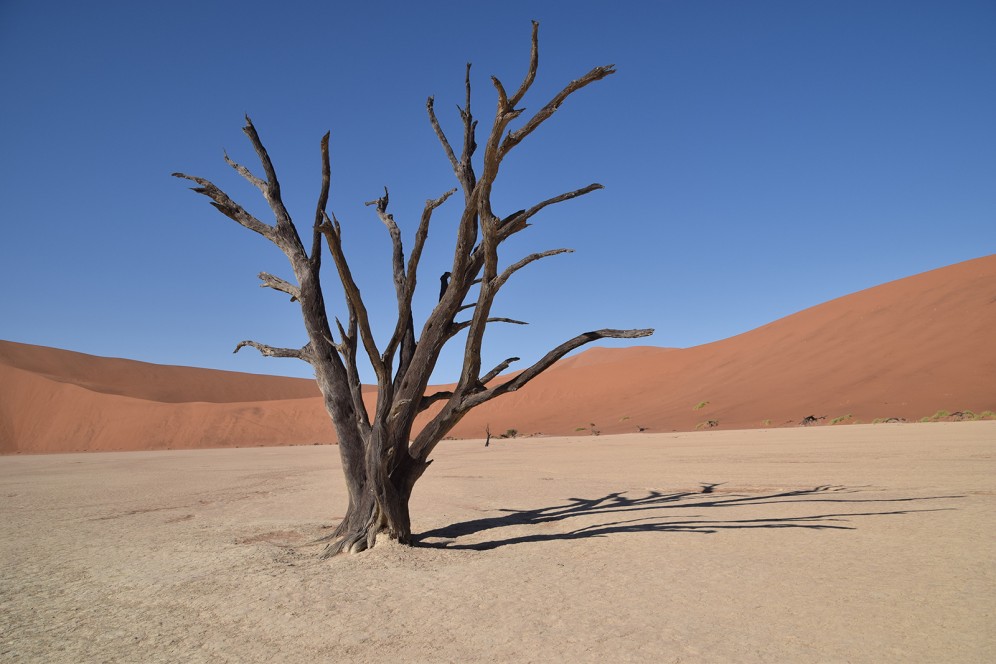 Viaggio di gruppo in Namibia - Dead Vlei