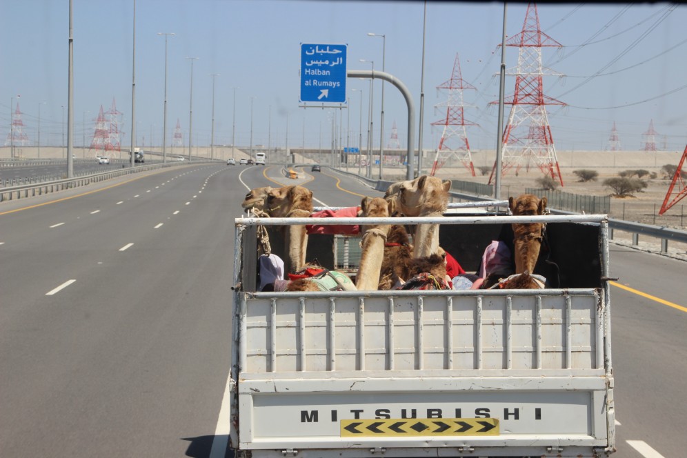 Viaggio di gruppo in Oman