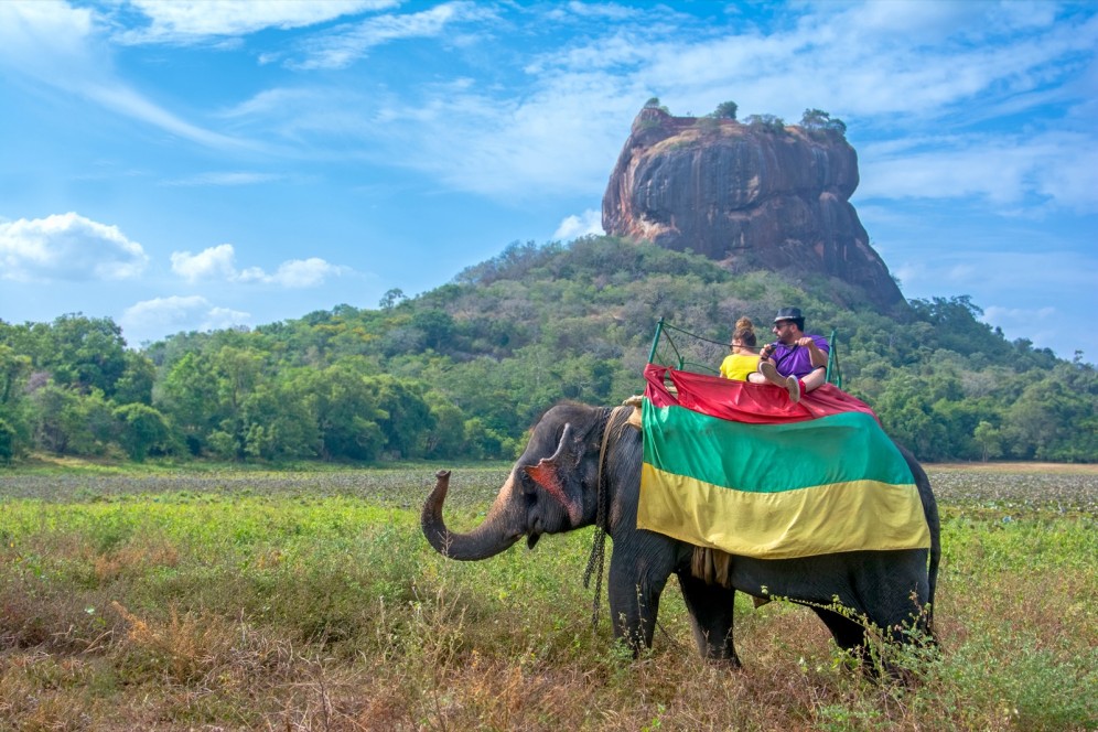 Escursione al dorso d'elefante - Sigiriya Rock