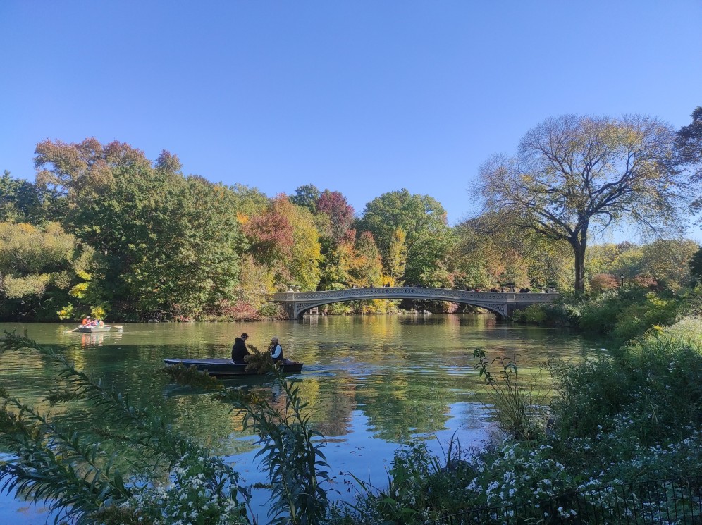 Viaggio di gruppo a New York City Central Park