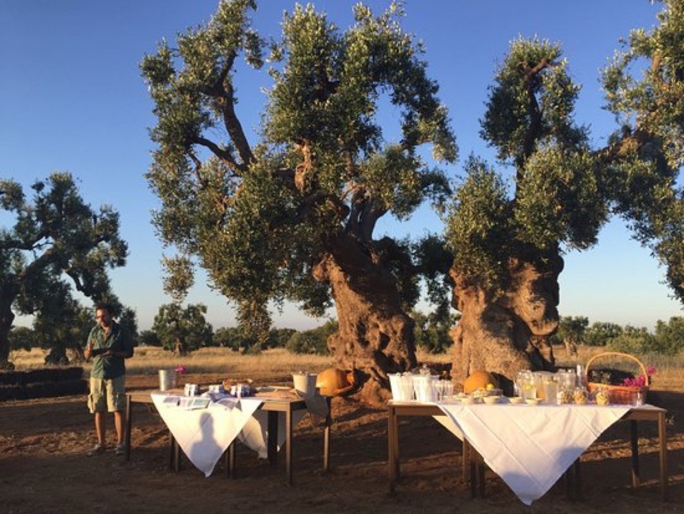 Degustazione di olio pugliese