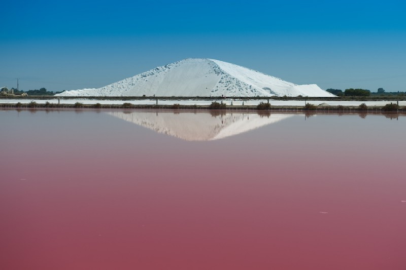 Viaggi organizzati in Camargue