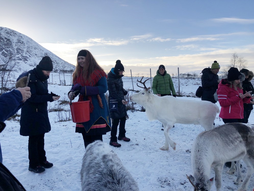 viaggio di gruppo per vedere l'aurora boreale