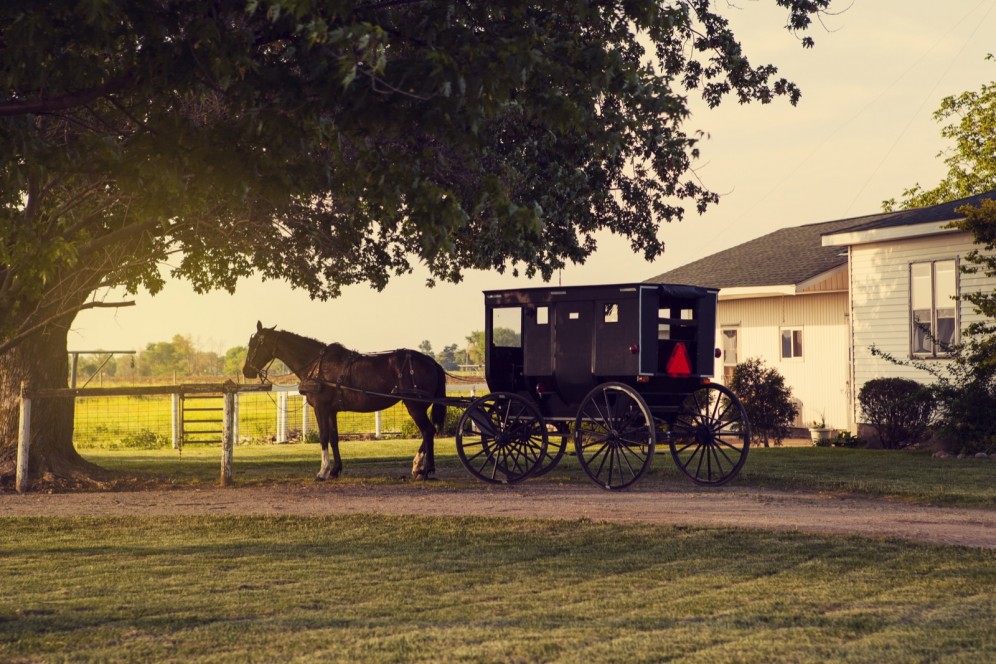 Viaggi organizzati Stati Uniti e Canada - Contea Amish