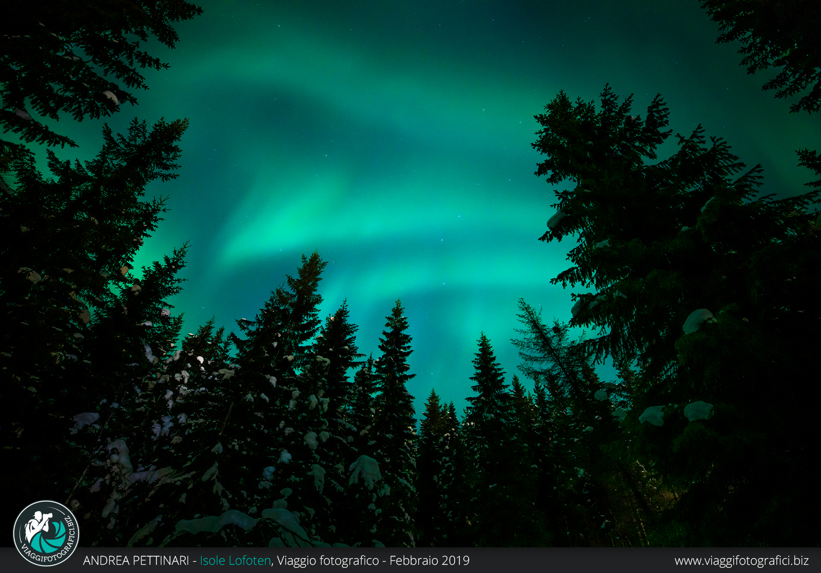 aurora-boreale-periodo-migliore-per-vederla
