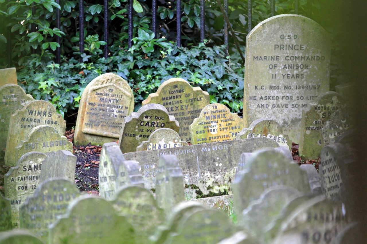 Curiosità da vedere a Londra cimitero animali