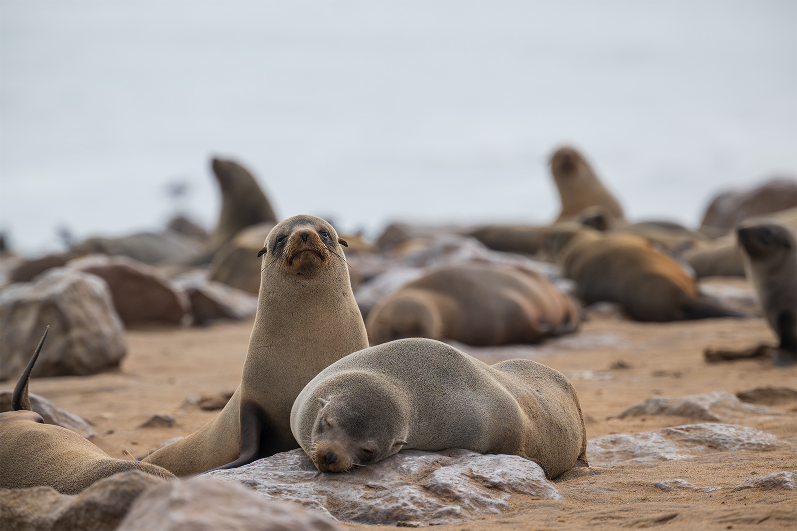 diario-di-viaggio-in-Namibia-10