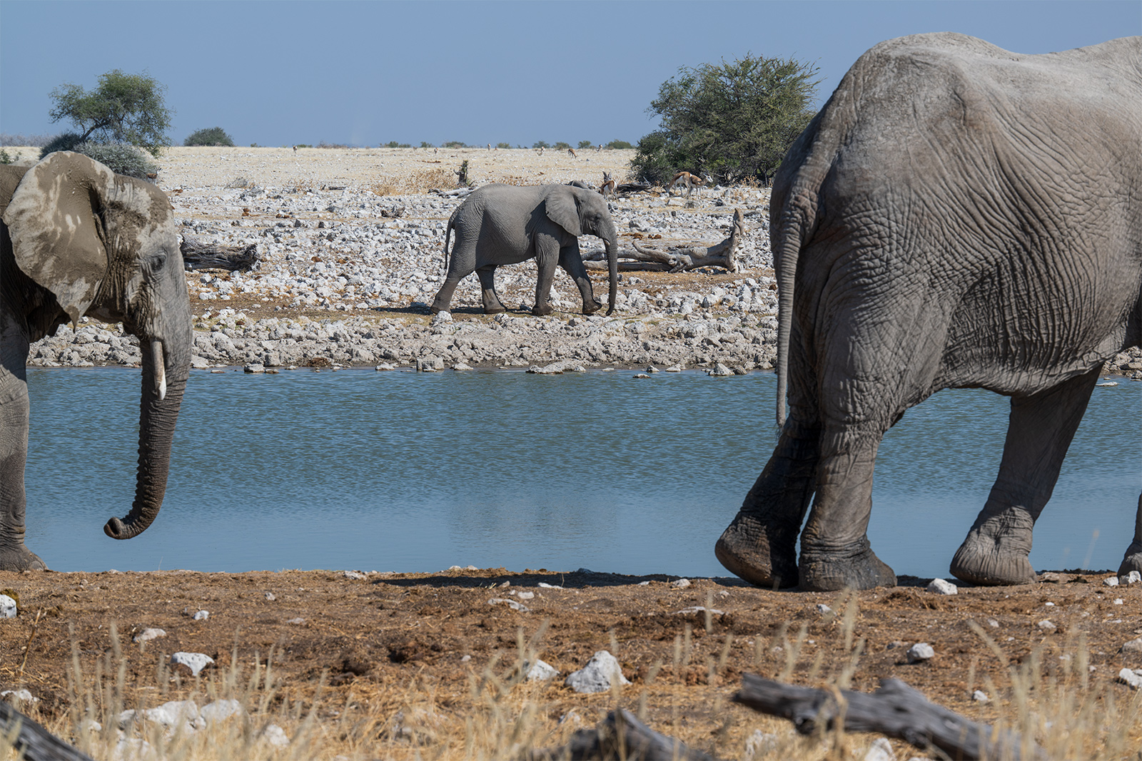 diario-di-viaggio-in-Namibia-12