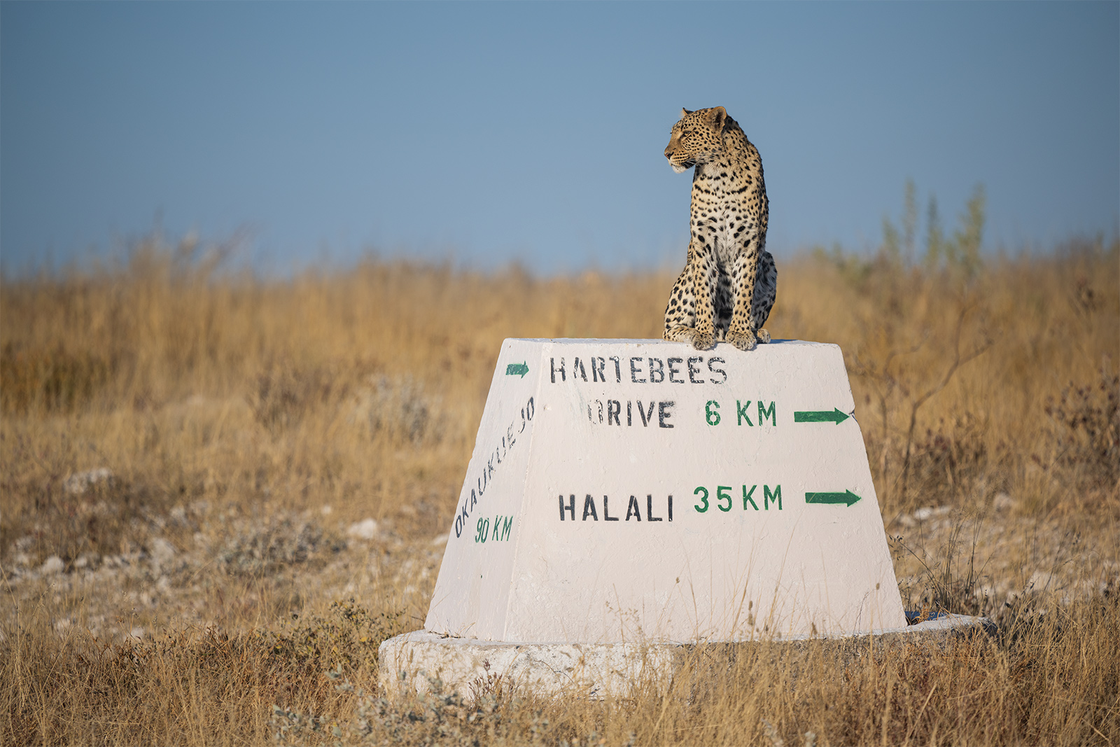 diario-di-viaggio-in-Namibia-13