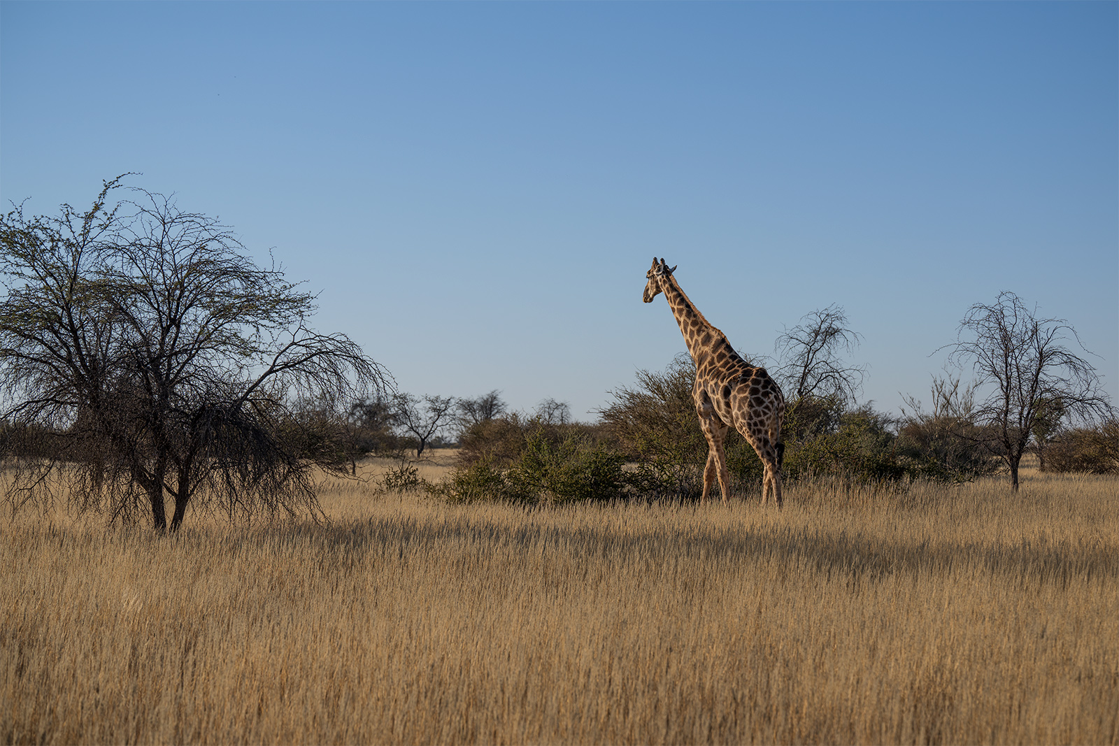 diario-di-viaggio-in-Namibia-5