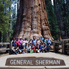 Foto di gruppo viaggio in America